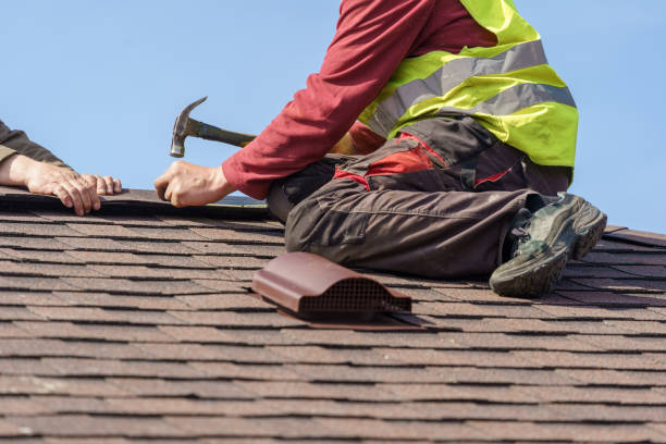 Sealant for Roof in Carson City, MI