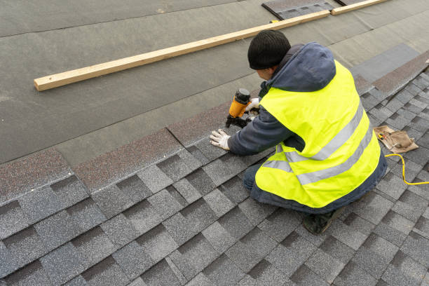 Best Roof Gutter Cleaning  in Carson City, MI