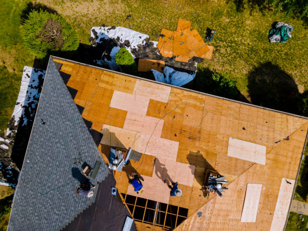 Best Commercial Roofing Services  in Carson City, MI