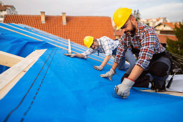 Best Metal Roofing Contractor  in Carson City, MI