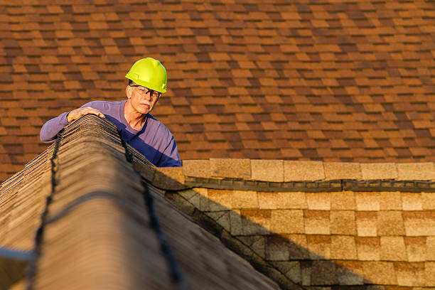 Best Roof Restoration Services  in Carson City, MI